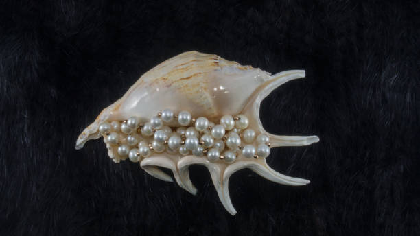 istock Big seashell with white pearl necklace on fur background 1217899512