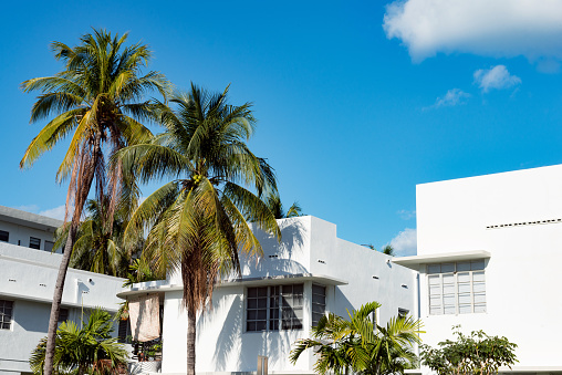 This is a color photograph of an Art Deco style apartment building shaded by a palm tree on a sunny spring day in South Beach, a Miami, Florida travel destination.