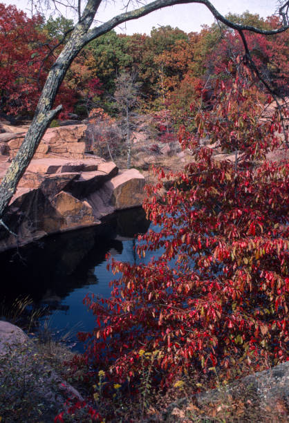 istock Elephant Rocks State Park - Quarry Vertical - 1992 1217914080