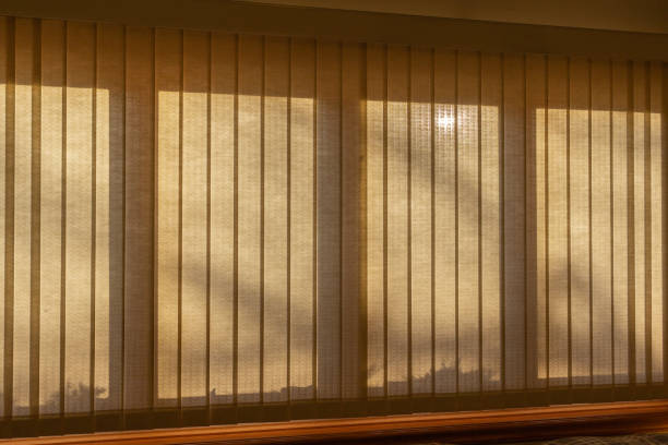 istock Abstract design texture of tree shadows upon a wide window with vertical blinds 1217914382