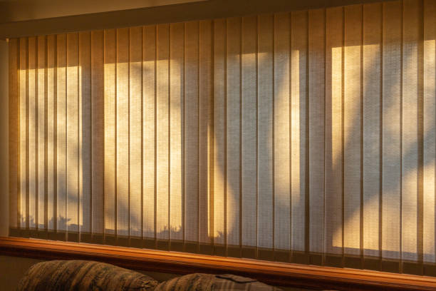 istock Abstract design texture of tree shadows upon a wide window with vertical blinds 1217915040