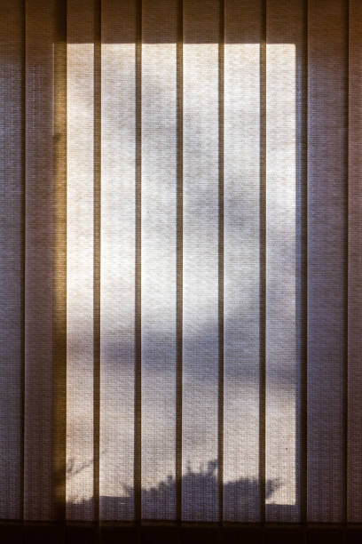 istock Abstract design texture of tree shadows upon a wide window with vertical blinds 1217915106