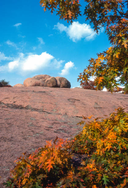istock Elephant Rocks State Park - Pink Granite & Fallen Leaves Vertical - 1977 1217917000