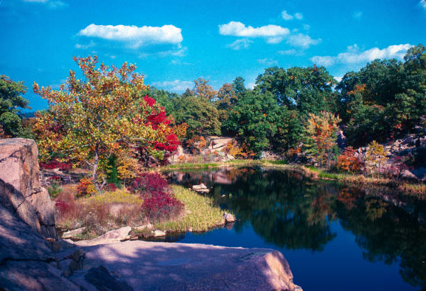 istock Elephant Rocks State Park - Flooded Quarry - 1975 1217917603