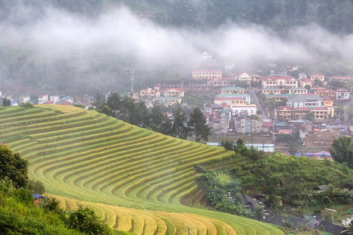 Green terraced rice fields in rainny season at Mu Cang Chai, Vietnam