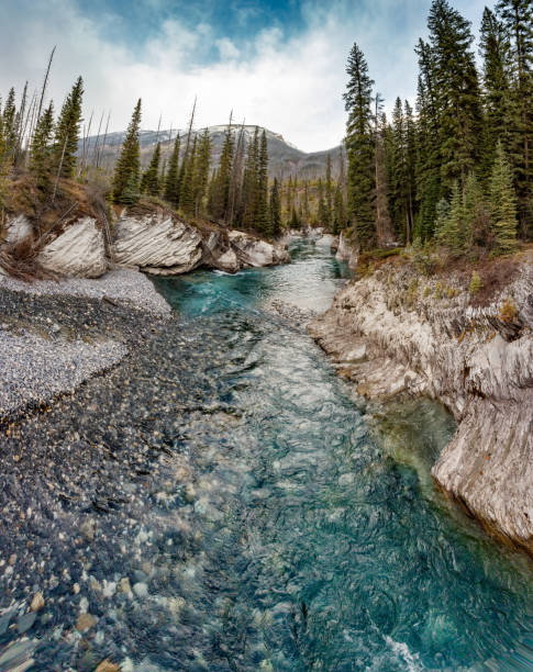 istock Banff National Park in Canada 1217925734