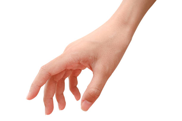 istock Hand open and ready to help or receive. Gesture isolated on white background with clipping path. 1217927588