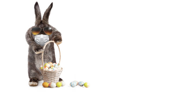 istock Easter rabbit with medical mask at epidemic time 1217928596