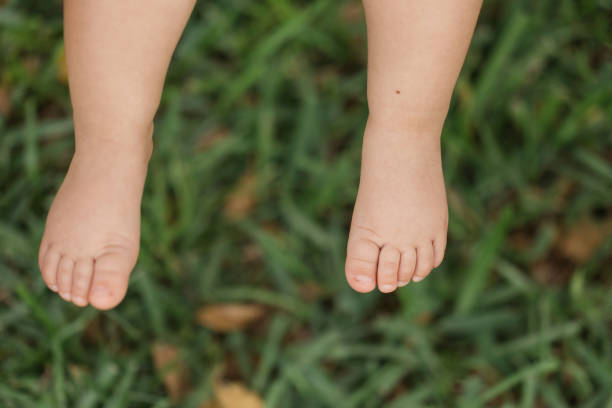 istock Baby Girl Feet 1217931354