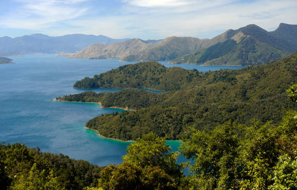 una imagen de paisaje de queen charlotte sound, nueva zelanda - queen charlotte sound fotografías e imágenes de stock