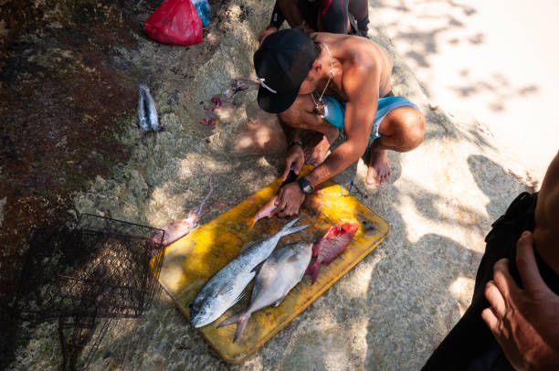 pescador corta peixe em praia na indonésia - nusa lembongan bali island beach - fotografias e filmes do acervo