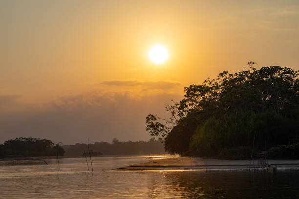 istock Amazon rainforest sunset during a boat trip with a reflection of the trees in the water. Puerto Francisco de Orellana. Ecuador. South America. 1217944450