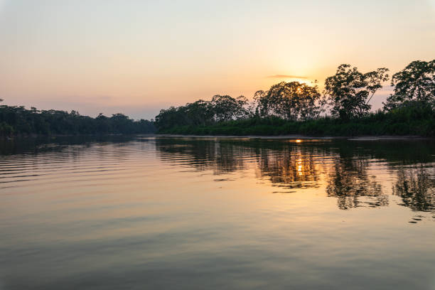 istock Amazon rainforest sunset during a boat trip with a reflection of the trees in the water. Puerto Francisco de Orellana. Ecuador. South America. 1217944457