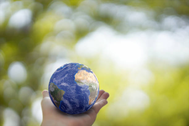 istock Plane Earth globe ball in human hand  on green sunny background. Saving environment, save clean planet, ecology concept. 1217950375