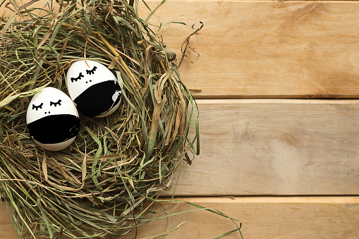 Easter eggs in medical masks in the nest. Coronavirus concept. Easter 2020 concept