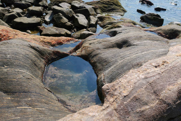 istock Image of coastal feature rocks at low tide, exposed tidal pools, Palolem Beach, Goa, India 1217952943