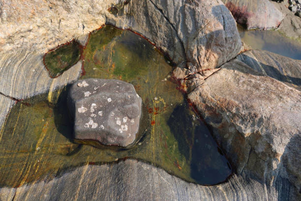istock Image of coastal feature rocks at low tide, exposed tidal pools, Palolem Beach, Goa, India 1217953132