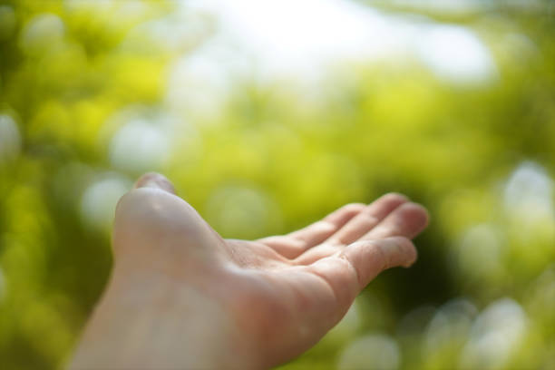 istock Human hands embracing nature. Conservation Green Nature concept. 1217954501
