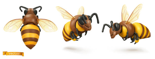 Bee Wings Illustrations, Royalty-Free Vector Graphics & Clip Art - iStock
