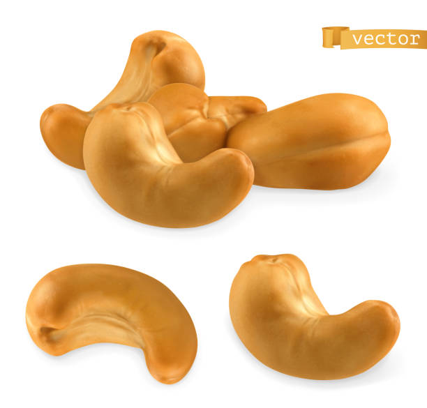 캐슈. 3d 사실적인 벡터 - cashew close up food salted stock illustrations