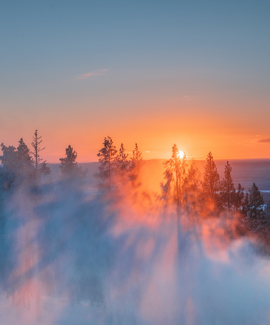 Landscape shot of beautiful sunrise view on foggy and snowy forest on very cold January day in Levi, Rovaniemi, Lapland, Finland