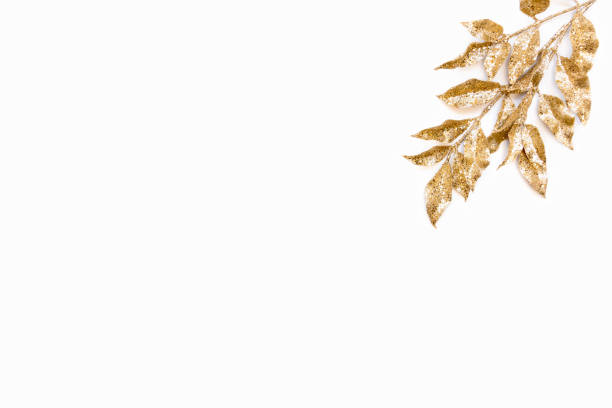 hoja de laurel dorada sobre fondo blanco. copiar espacio. - laurel wreath bay tree wreath gold fotografías e imágenes de stock