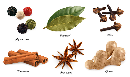 Peppercorn, bay leaf, dried cloves, cassia cinnamon, star anise, ginger root. 3d vector realistic objects