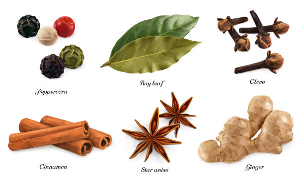 Peppercorn, bay leaf, dried cloves, cassia cinnamon, star anise, ginger root. 3d vector realistic objects Peppercorn, bay leaf, dried cloves, cassia cinnamon, star anise, ginger root. 3d vector realistic objects star anise stock illustrations