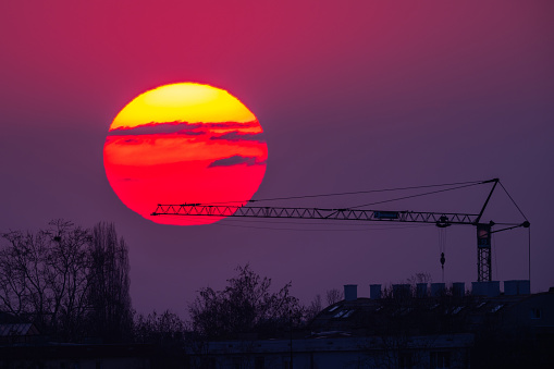 Beautiful sunset with a crane. Copy space.