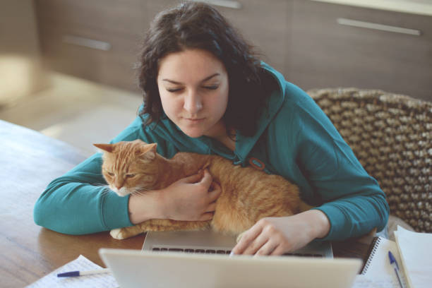 istock Beautiful young woman working at home( with cat) 1217959059