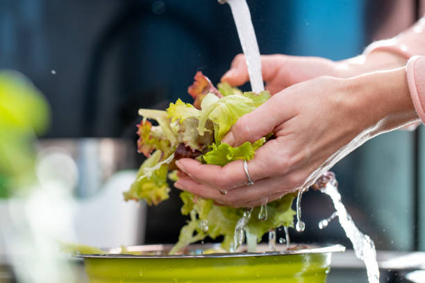 istock Washing lettuce under the tap by the sink 1217962324