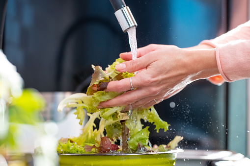 Hands holding lettuce under the faucet in kitchen sink for disinfection at time of Covid-19 outbreak