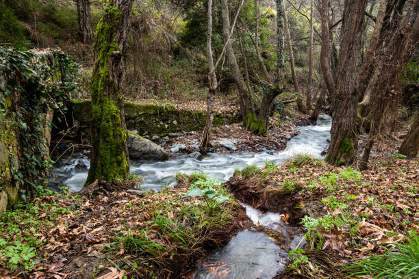 Beautiful medieval stoned bridge of Milia with river full with water flowing at Troodos mountains in Cyprus