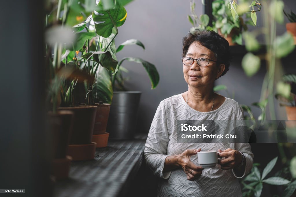 peaceful senior asian chinese woman having coffee at home chillling grandmother sitting at home alone Senior Adult Stock Photo