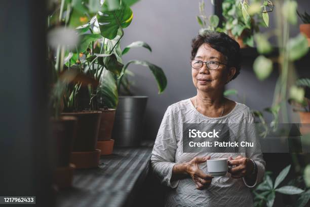 Peaceful Senior Asian Chinese Woman Having Coffee At Home Chillling Stock Photo - Download Image Now