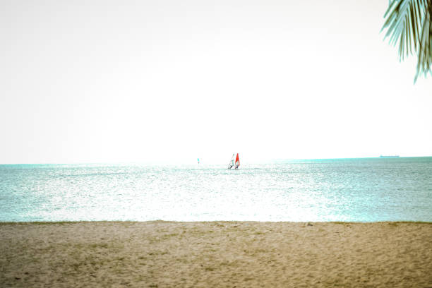 istock Windsurfers learn windsurfing on Sunrise to the sea white isolate sky background in afternoon with  blue tropical serenity beach during summer vacation holidays in Pattaya beach ,Chonburi Thailand 1217962749