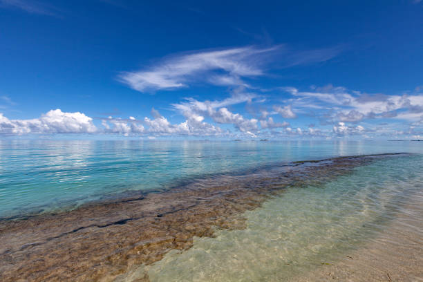 seascape and coral reef with turquoise colored water at maldvies islands, indian ocean.