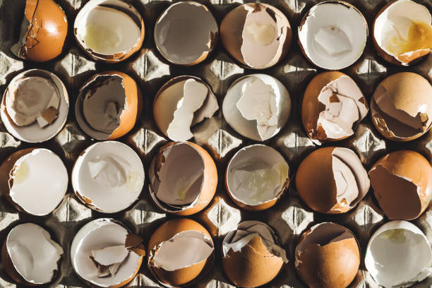 istock Texture of broken empty eggshell in carton box. View from above. Cooking on easter concept. Unusual photo of eggs. 1217966878