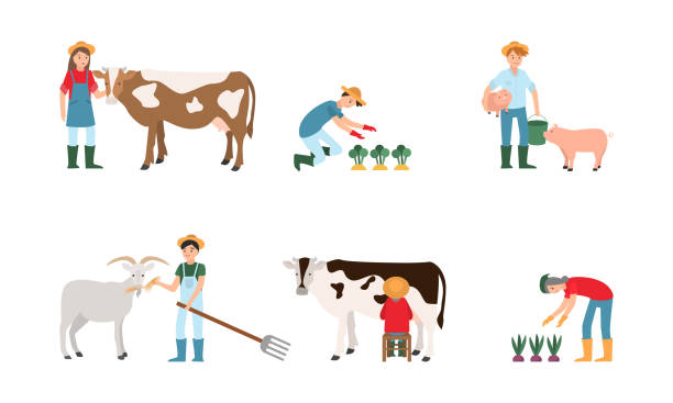 Happy young men and women farmers with animals, plants and tools Set of isolated hand drawn happy young men and women farmers with animals, plants and tools over white background vector illustration. Clean eating and living on nature lifestyle concept farmer drawings stock illustrations