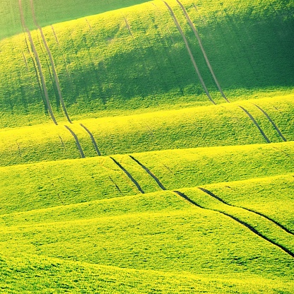 Beautiful spring landscape with field of grass hills at sunset. Waves in nature Moravian Tuscany - Czech Republic - Europe.