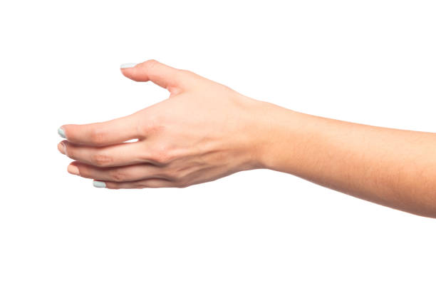 istock female hand isolated on white background showing hand gestures 1217974073