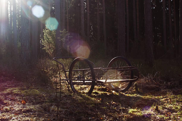 Old worn-out wooden wagonwheel on a old wagon