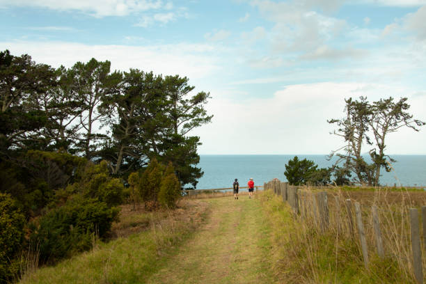 Long Bay coastal walk in Auckland