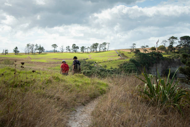 walking the long bay coastal walk with farmland views - long bay imagens e fotografias de stock