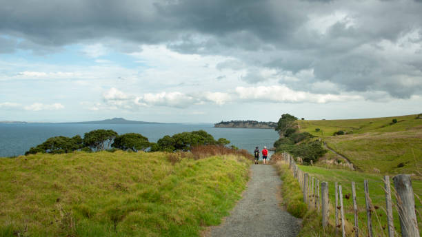 caminhando pela longa baía caminhada costeira com vista para a ilha rangitoto - long bay - fotografias e filmes do acervo