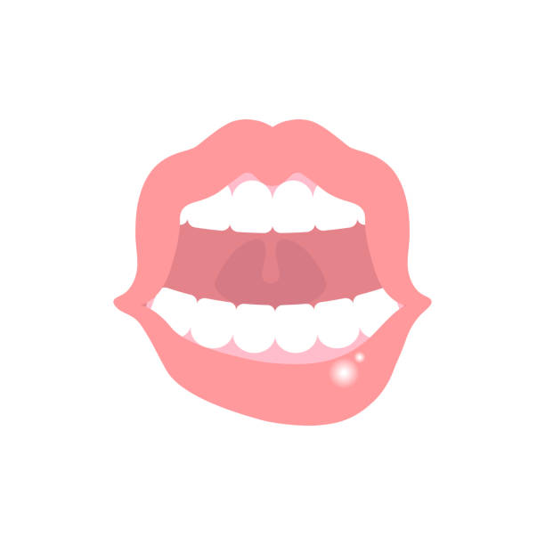 oral, mouth ulcers, canker sores, internal organs anatomy body part nervous system oral, mouth ulcers, canker sores, internal organs anatomy body part nervous system, vector illustration cartoon flat design clip art salivary gland surgery stock illustrations