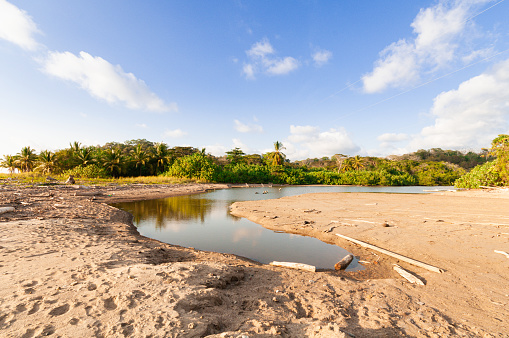 Desembocadura seca del río en la costa del sur de Costa Rica photo
