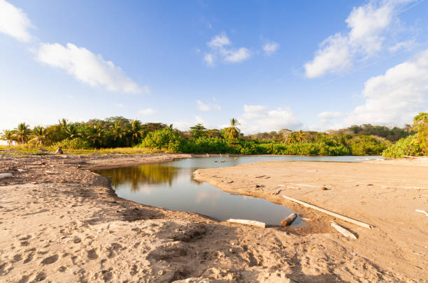 Dry river mouth at the coastline of southern Costa Rica stock photo