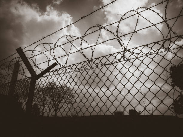 istock Barbed wire fence black and white picture 1217979956
