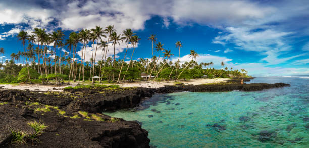 istock Tropical beach on south side of Samoa Island with coconut palm trees 1217980849